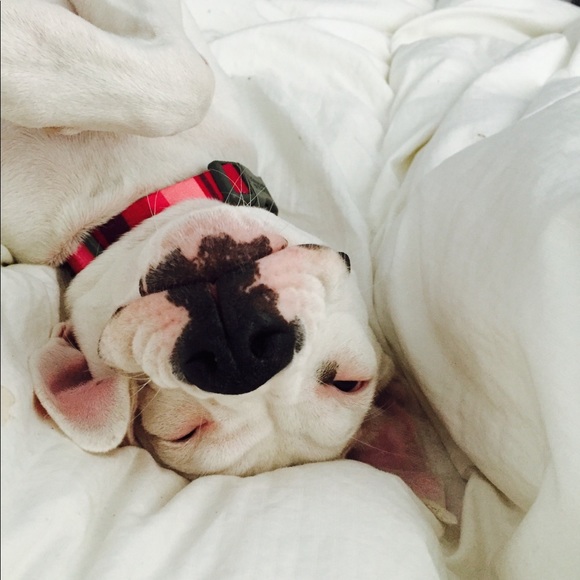 Meet your Posher, Jessica - Picture 1 of 1